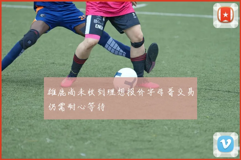 雄鹿尚未收到理想报价字母哥交易仍需耐心等待